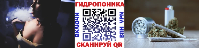 Купить где  Микунь  Бошки марихуана OG Kush 